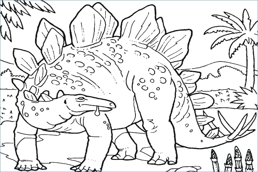 Stegosaurus Dinosaur Coloring Pages 850x567 Stegosaurus Dinosaur Coloring Pages