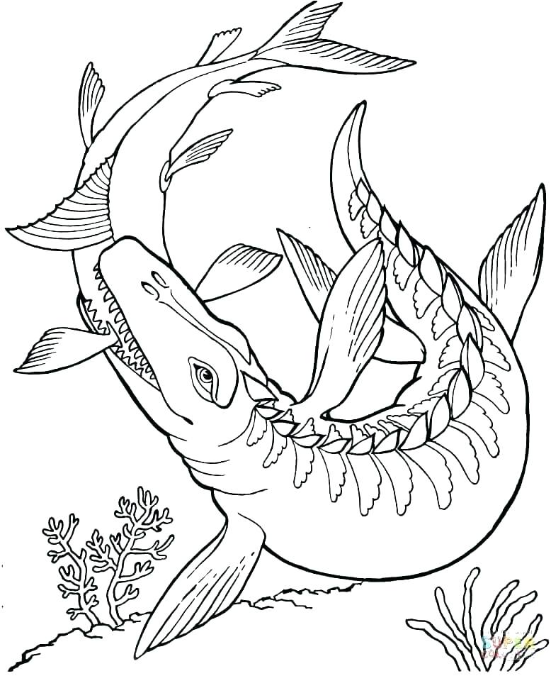 778x953 Dinosaur Coloring Pages Pdf Good Dinosaur Coloring Pages For Kids