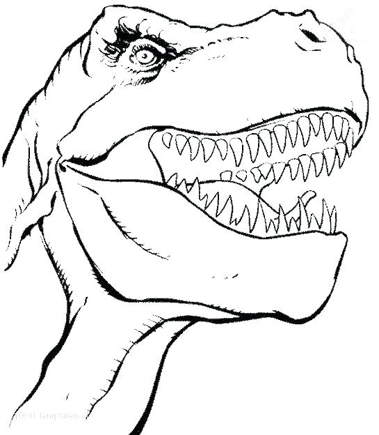 545x624 Free Dinosaur Coloring Pages Pdf