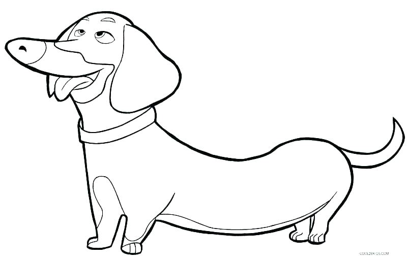 800x512 Free Puppy Coloring Pages Puppy Coloring Page Free Free Puppy Dog