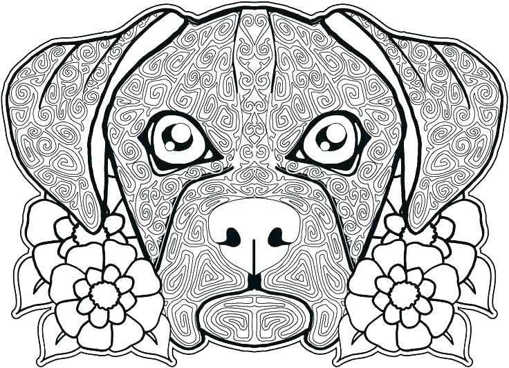 736x533 Coloring Page Dog Coloring Pages Dogs Coloring Sheets