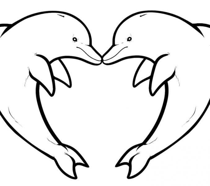 Dolphin Coloring Sheet Cool Dolphin Coloring Page Ideas For Your 678x600 Dolphin Coloring Sheet Cool Dolphin Coloring Page Ideas For Your