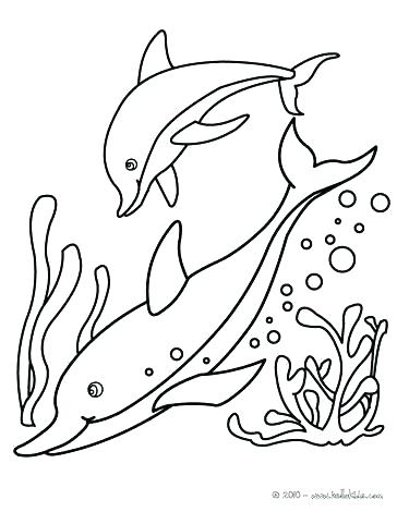 Free Dolphin Coloring Pages Dolphins Coloring Page Coloring Pages 364x470 Free Dolphin Coloring Pages Dolphins Coloring Page Coloring Pages