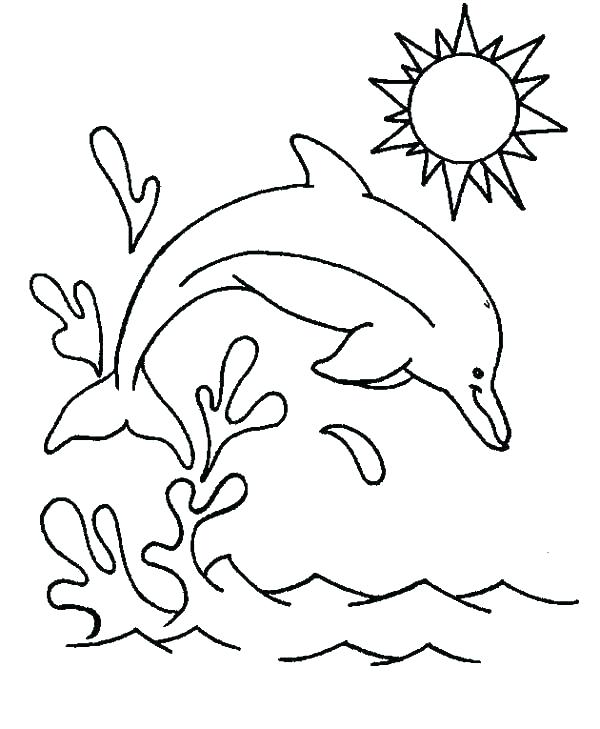 Coloring Pictures Of Dolphins Printable Dolphin Coloring Pages 600x729 Coloring Pictures Of Dolphins Printable Dolphin Coloring Pages