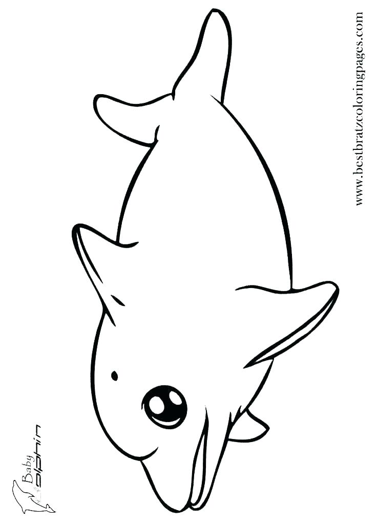 Printable Dolphin Coloring Pages Coloring Pages Dolphins Dolphin 736x1030 Printable Dolphin Coloring Pages Coloring Pages Dolphins Dolphin