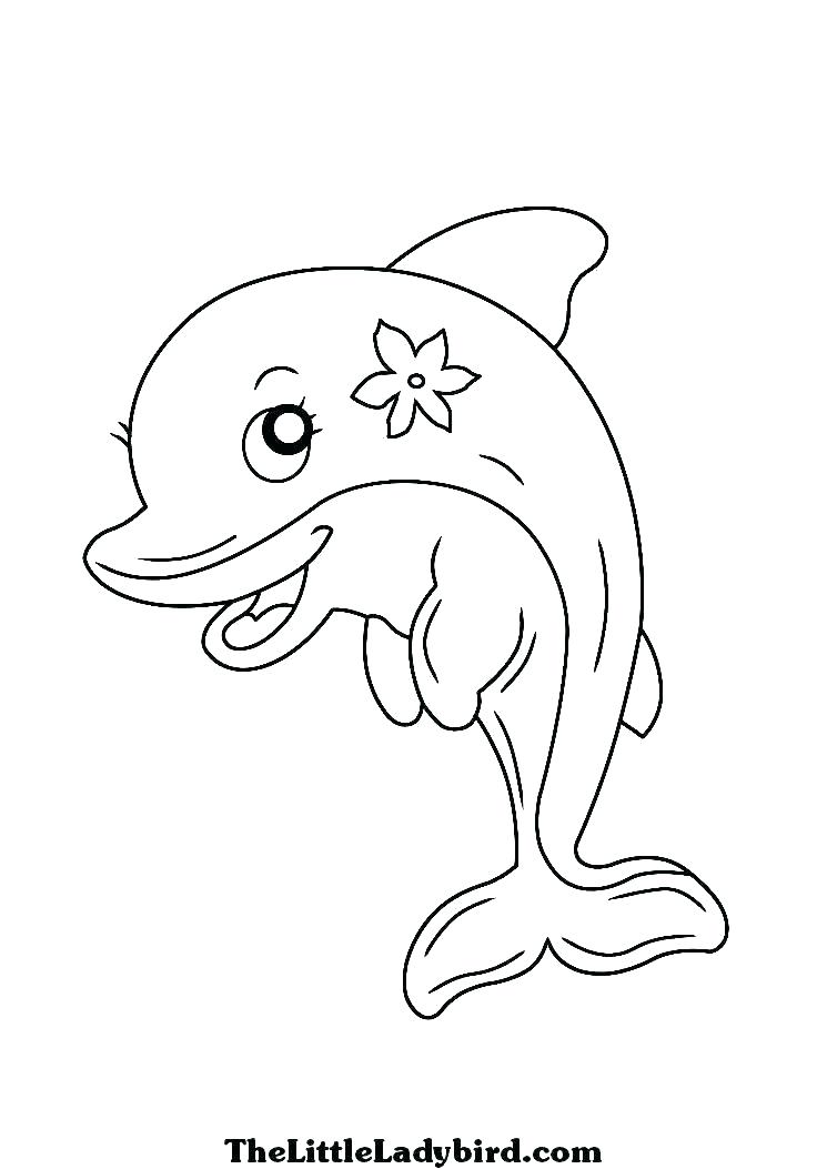 Dolphins Coloring Page 745x1053 Dolphins Coloring Page