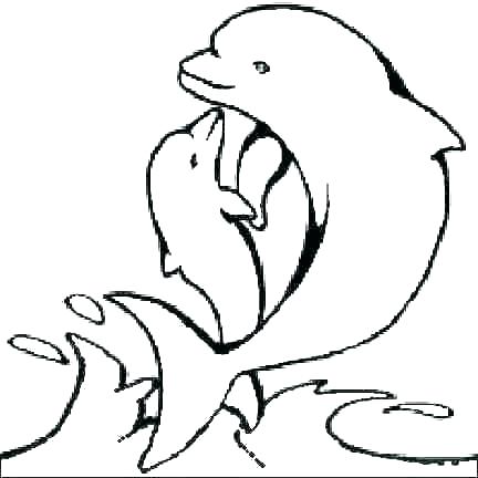 Free Dolphin Coloring Pages 432x432 Free Dolphin Coloring Pages