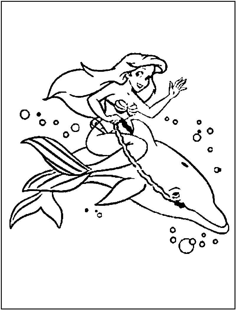 Dolphin Coloring Pages 800x1050 Dolphin Coloring Pages