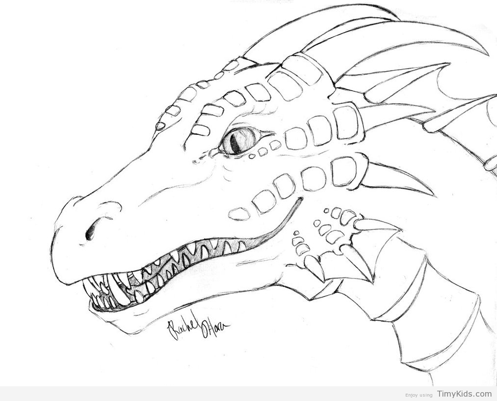 1013x818 Free Dragon Coloring Pages