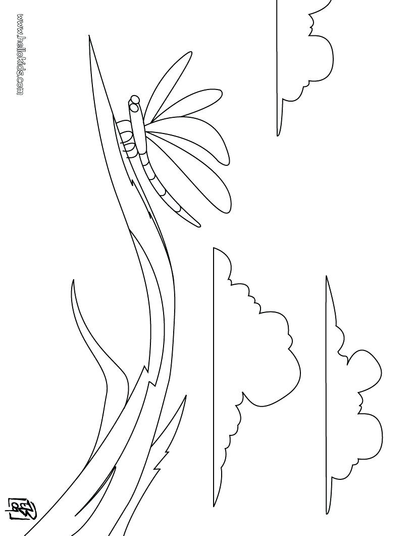 820x1060 Coloring Pages ~ Dragonfly Coloring Page Cute Pages To Print