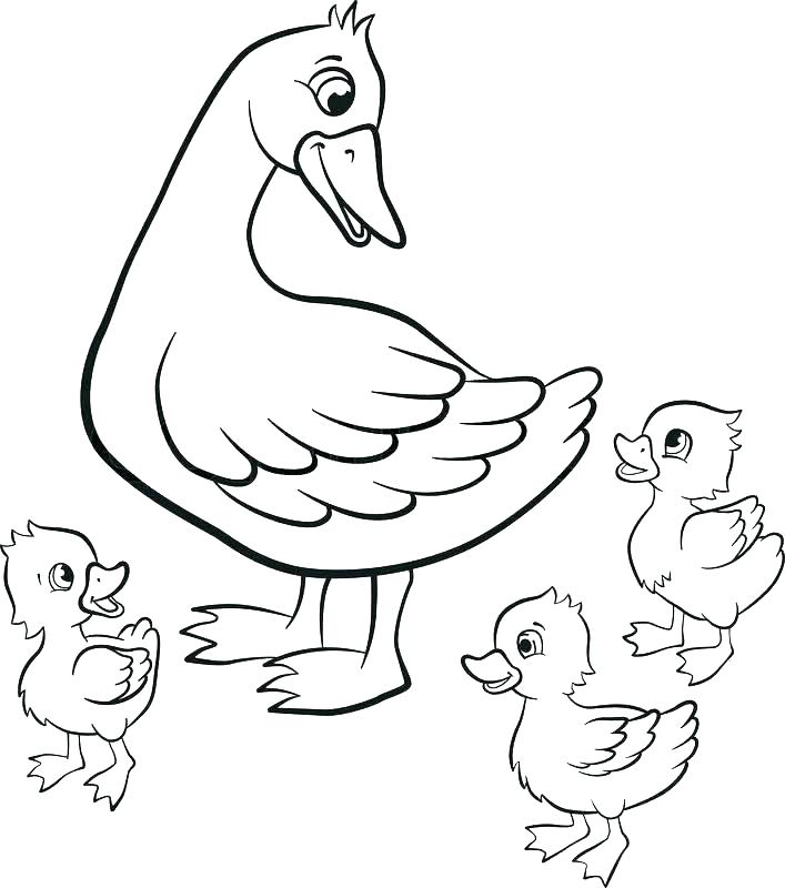 Duck Coloring Page Coloring Pages Duck Mallard Duck Coloring Page 707x800 Duck Coloring Page Coloring Pages Duck Mallard Duck Coloring Page