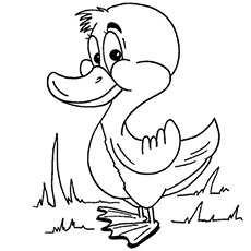 Top 20 Free Printable Duck Coloring Pages Online 230x230 Top 20 Free Printable Duck Coloring Pages Online