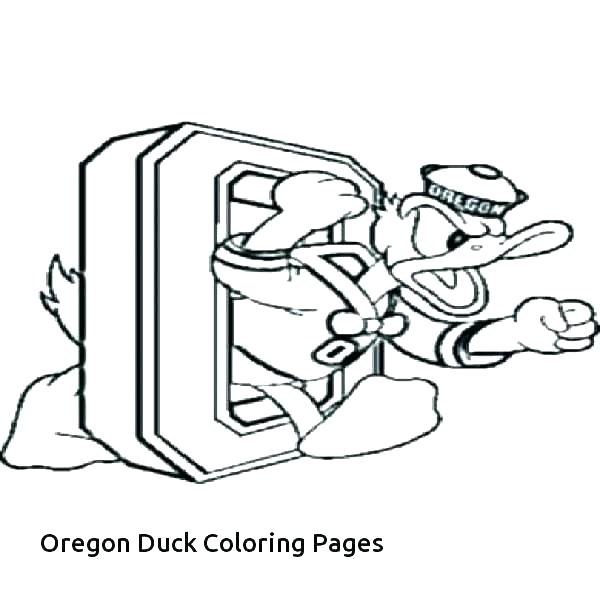 Coloring Pages Ducks Duck Coloring Pages Baby Duck Coloring Pages 600x600 Coloring Pages Ducks Duck Coloring Pages Baby Duck Coloring Pages