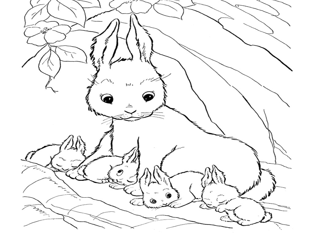 1024x768 Best Easter Bunny Coloring Pages Bunny Coloring Pages Color Free