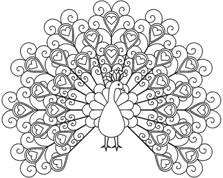 736x588 Pictures To Print And Colour For Adults Adult Coloring Pages Cute