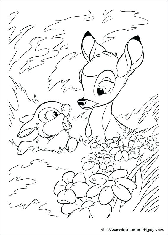 567x794 Educational Coloring Pages Educational Coloring Pages Free