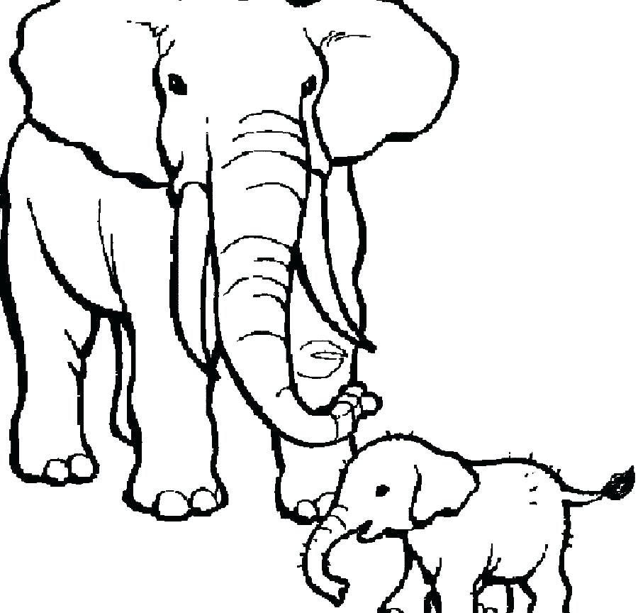 Free Elephants Pictures For Kids Download Free Clip Art Free 900x864 Free Elephants Pictures For Kids Download Free Clip Art Free