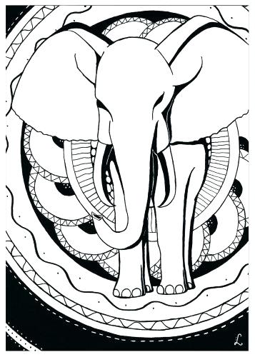 Free Printable Elephant Coloring Pages For Adults Elephant Color 357x500 Free Printable Elephant Coloring Pages For Adults Elephant Color