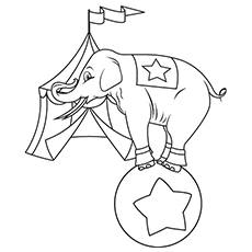 Top 20 Free Printable Elephant Coloring Pages Online 230x230 Top 20 Free Printable Elephant Coloring Pages Online