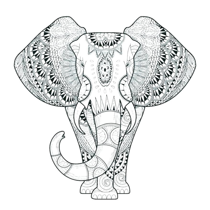 Free Elephant Coloring Pages For Adults at GetColorings.com | Free ...