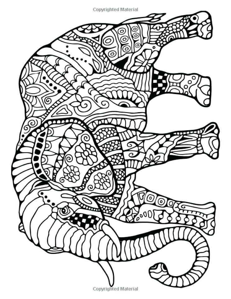 742x960 Printable Elephant Coloring Pages Free Printable Elephant Coloring