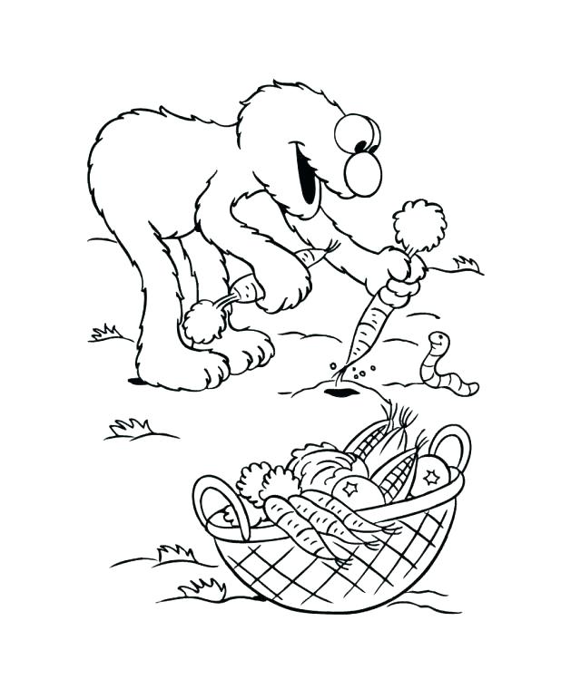 Elmo Coloring Pages Coloring Pages Printable Free Elmo Face 618x749 Elmo Coloring Pages Coloring Pages Printable Free Elmo Face