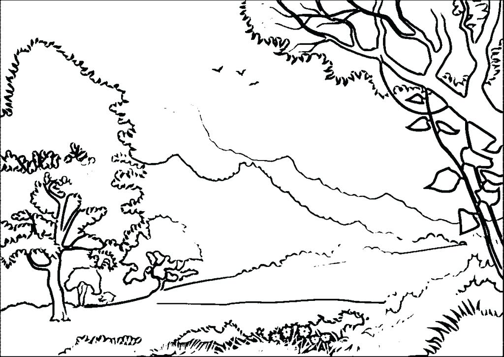 Forest Coloring Page Best Forest Coloring Page Wallpapers 1024x725 Forest Coloring Page Best Forest Coloring Page Wallpapers