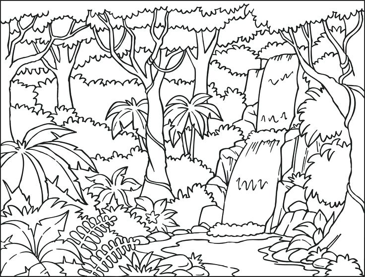 Forest Coloring Pages Free Printable Woodland Animals Coloring 736x560 Forest Coloring Pages Free Printable Woodland Animals Coloring