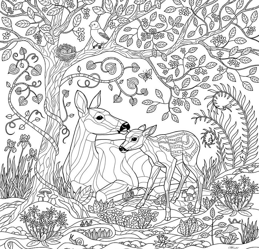 Coloring Page Lovely Sloth Forest Stock Vector Pages For Adults 900x864 Coloring Page Lovely Sloth Forest Stock Vector Pages For Adults