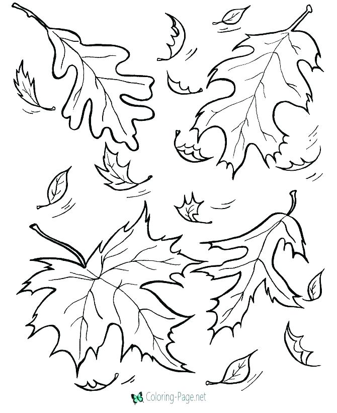 Fall Coloring Page Coloring Pages Of Fall Free Fall Printable 670x820 Fall Coloring Page Coloring Pages Of Fall Free Fall Printable