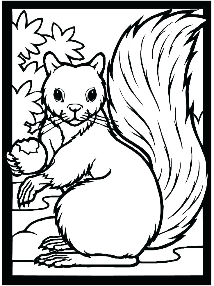 Autumn Coloring Pages Printable 736x980 Autumn Coloring Pages Printable