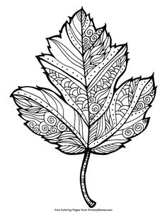 236x305 Free Fall Adult Coloring Pages (U Create) Adult Coloring
