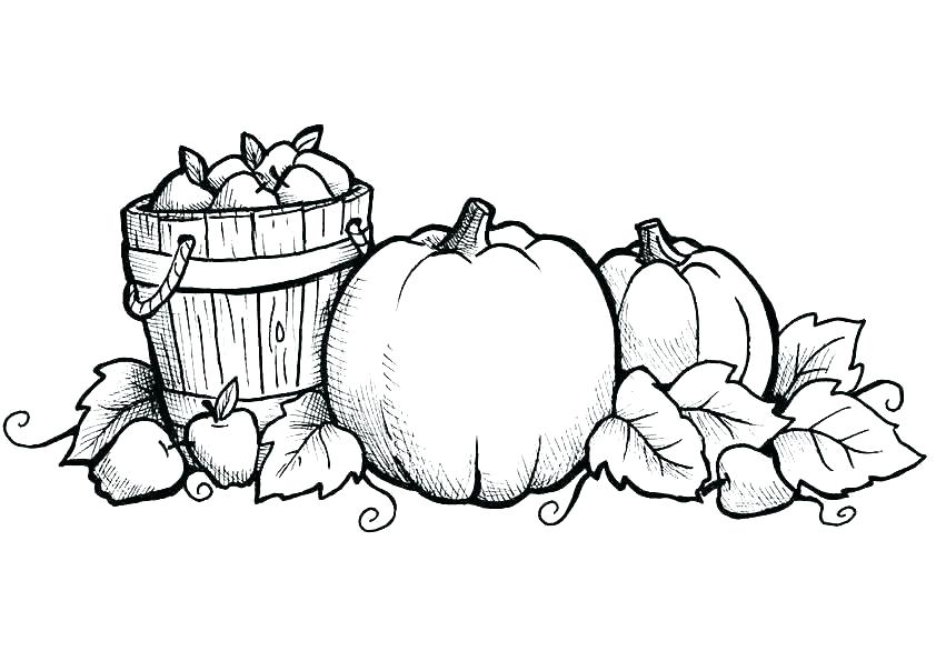 842x595 Fall Color Pages Fall Coloring Pages Printable 8 Fall Coloring