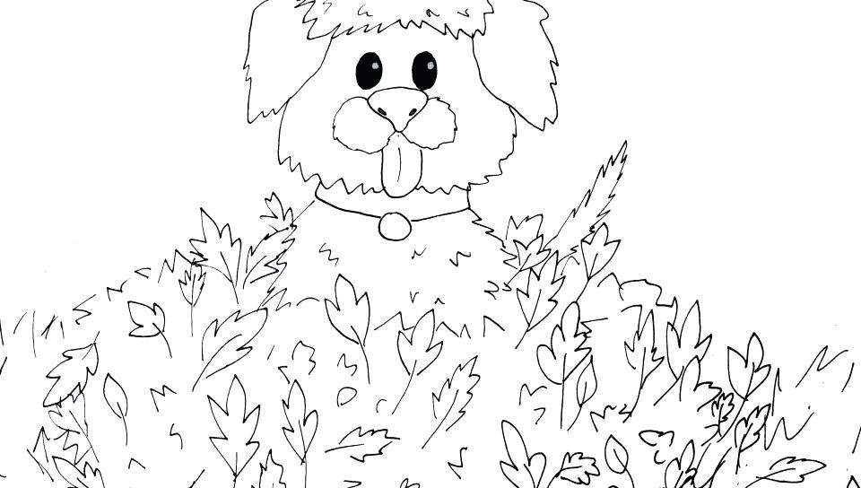 960x544 Free Fall Coloring Pages