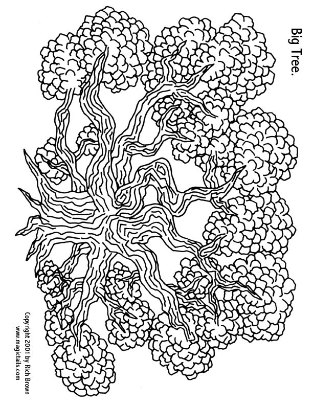 612x792 Family Trees Coloring Pages Download And Print For Free