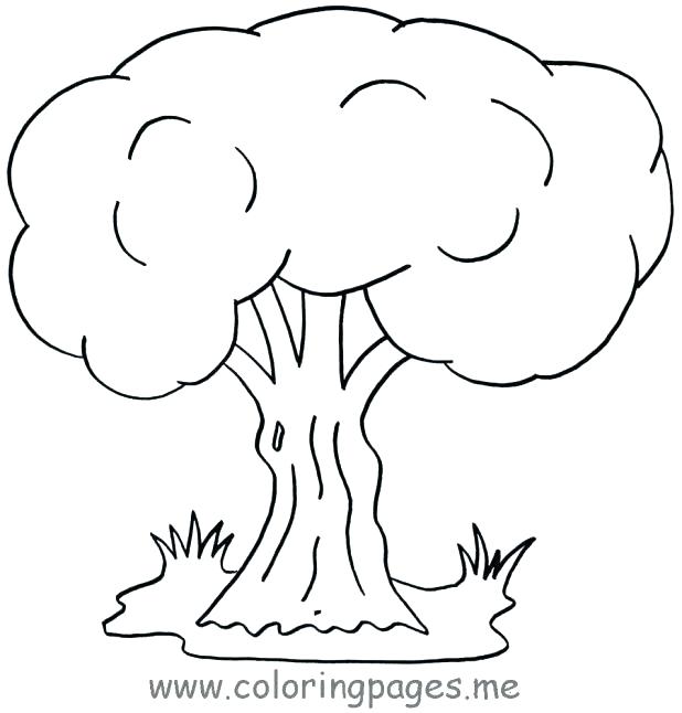 Free Family Tree Coloring Pages at GetColorings.com | Free printable ...