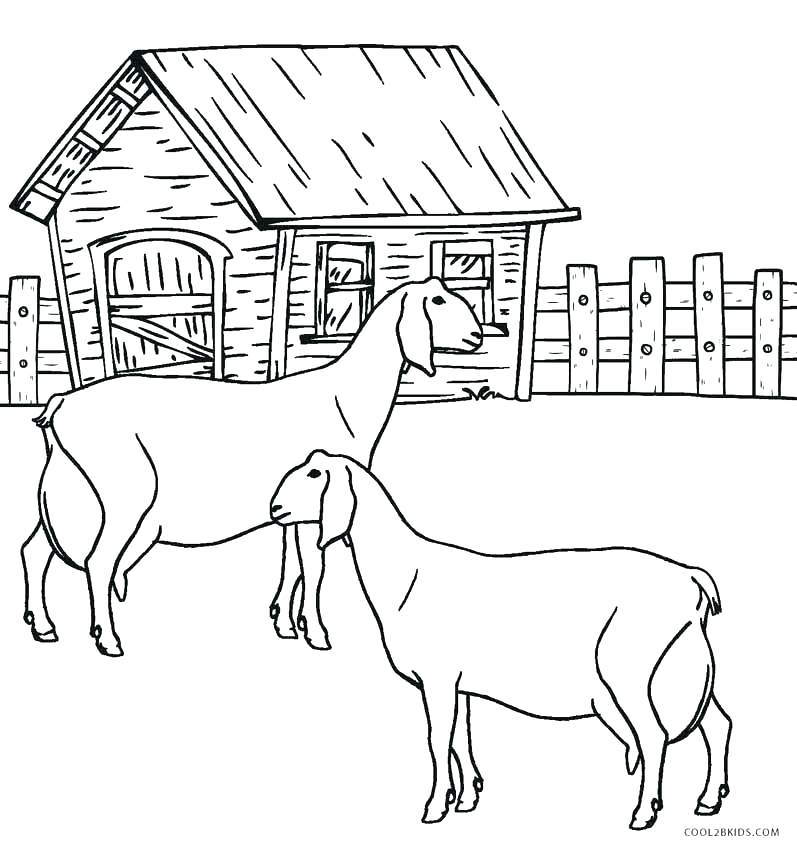 Free Coloring Pages Of Farm Animals Coloring Pages Farm Free Farm 797x850 Free Coloring Pages Of Farm Animals Coloring Pages Farm Free Farm