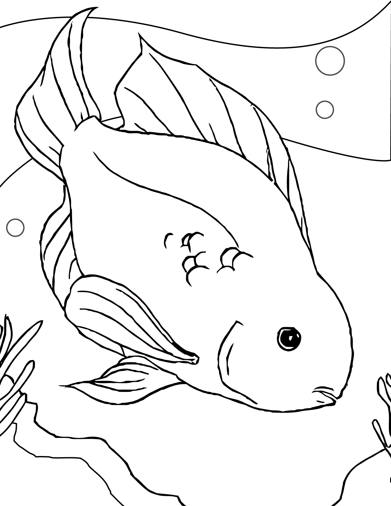 1275x1650 Fish To Print 4232 New Coloring Sheets