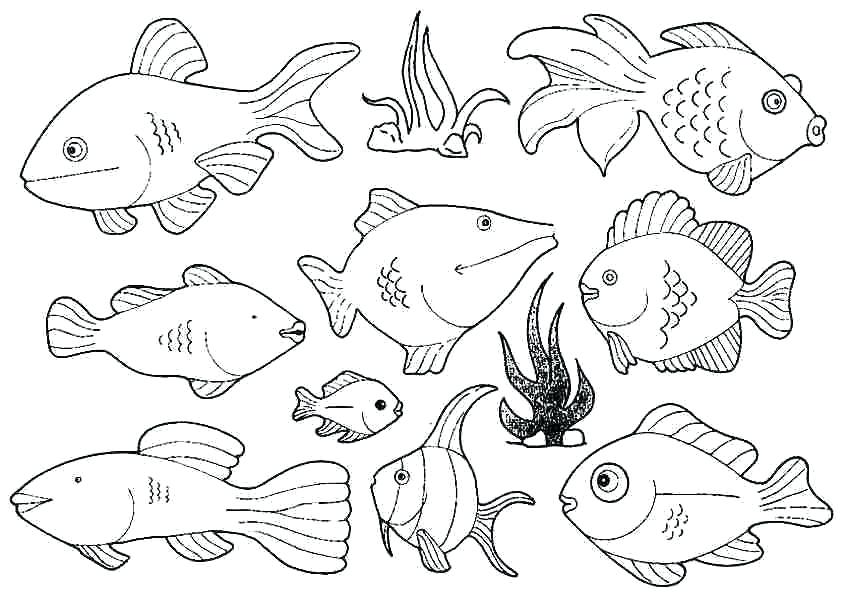 844x600 New Pout Pout Fish Coloring Page For Profitable Free Fish