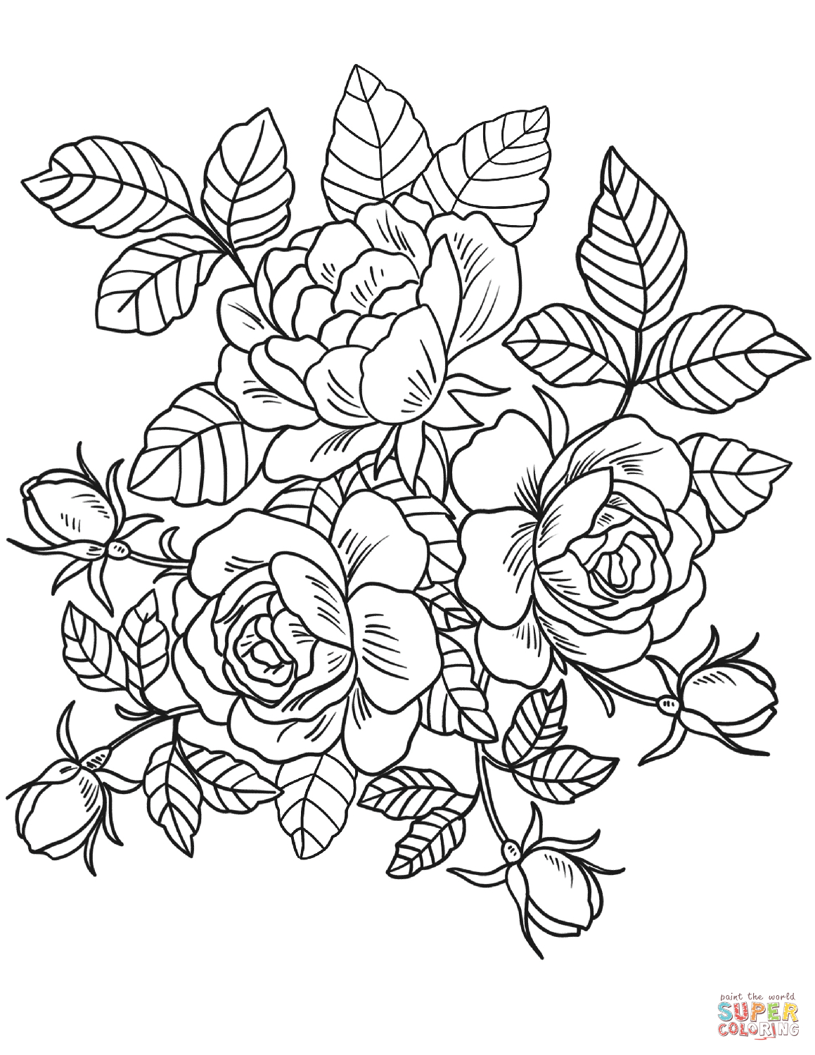 Flower Outline Coloring Pages Flowers Coloring Pages Free Coloring 1159x1500 Flower Outline Coloring Pages Flowers Coloring Pages Free Coloring