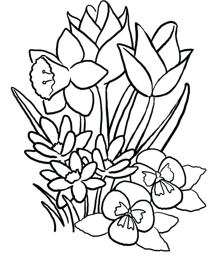 Flowers Coloring Pages Print Out Flowers Coloring Pages 728x878 Flowers Coloring Pages Print Out Flowers Coloring Pages