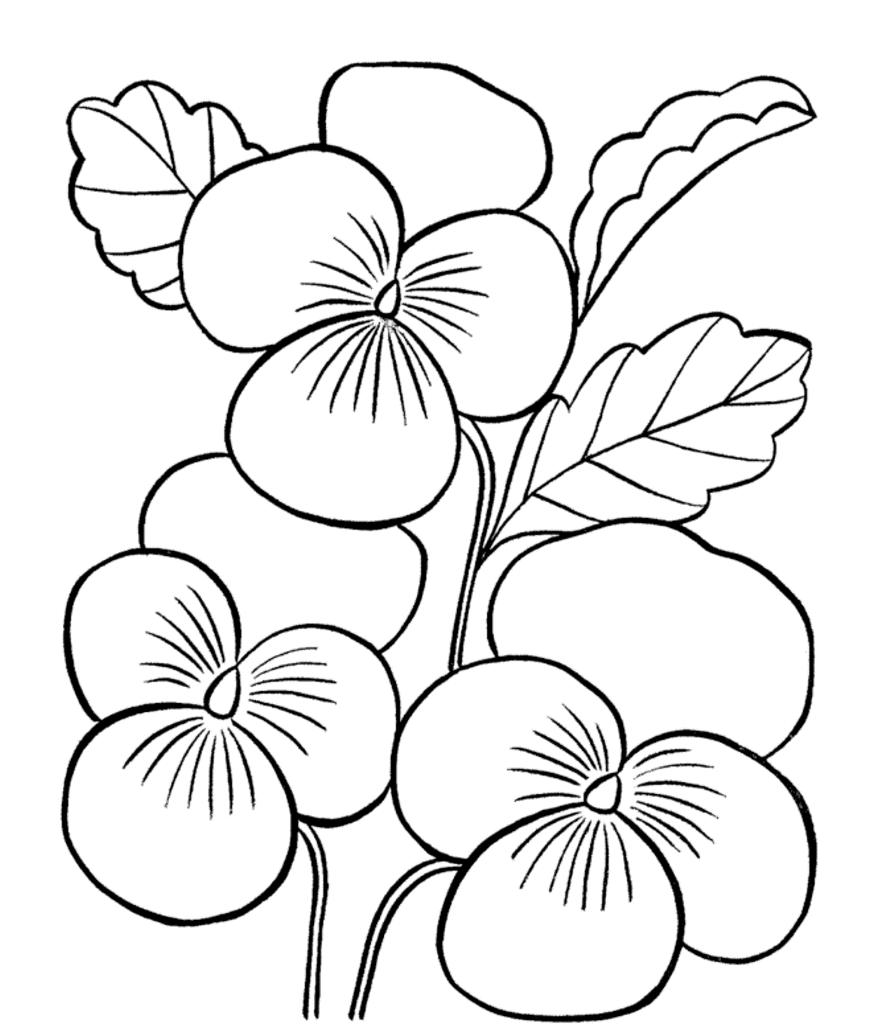 Fresh Orchid Flower Coloring Sheet Gallery Printable Coloring Sheet 1266x1469 Fresh Orchid Flower Coloring Sheet Gallery Printable Coloring Sheet