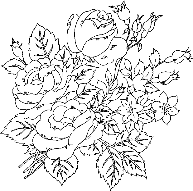 Flower Coloring Sheets Adult Coloring Books Flower 619x615 Flower Coloring Sheets Adult Coloring Books Flower