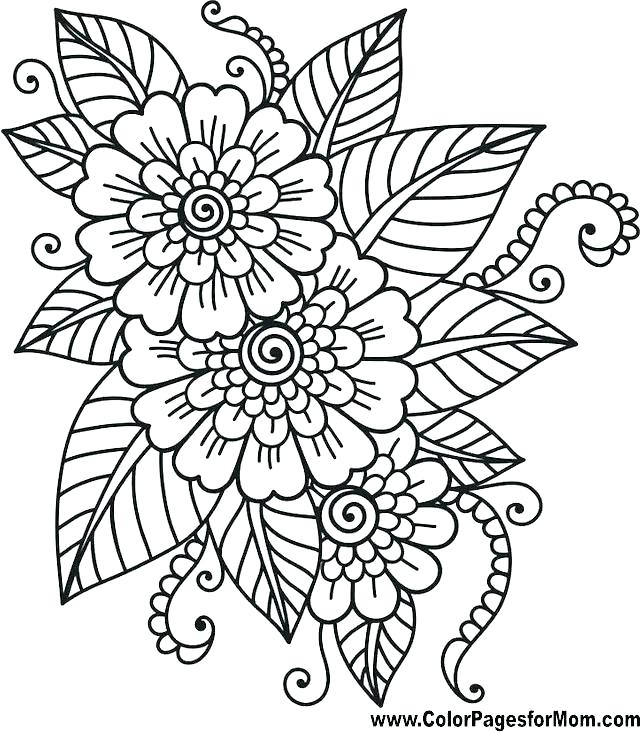 Simple Flowers Coloring Pages Vanda 640x732 Simple Flowers Coloring Pages Vanda