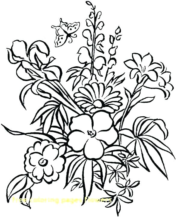 Coloring Pages Of A Flower Coloring Pages Flowers And Butterflies 585x720 Coloring Pages Of A Flower Coloring Pages Flowers And Butterflies