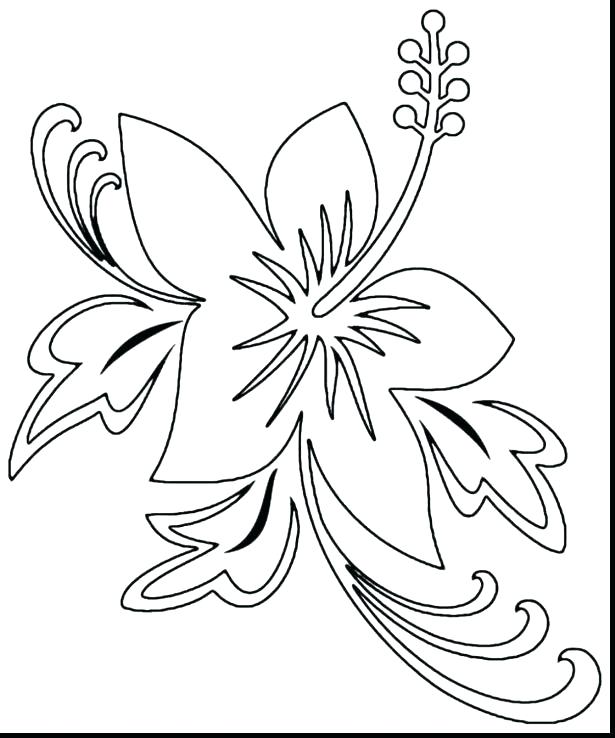 Carnation Coloring Page Coloring Pages For Girls Flowers X X Free 615x738 Carnation Coloring Page Coloring Pages For Girls Flowers X X Free