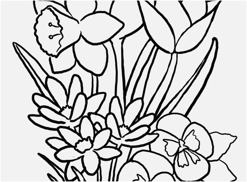 The Suitable Graphic Floral Coloring Pages Awesome 827x609 The Suitable Graphic Floral Coloring Pages Awesome