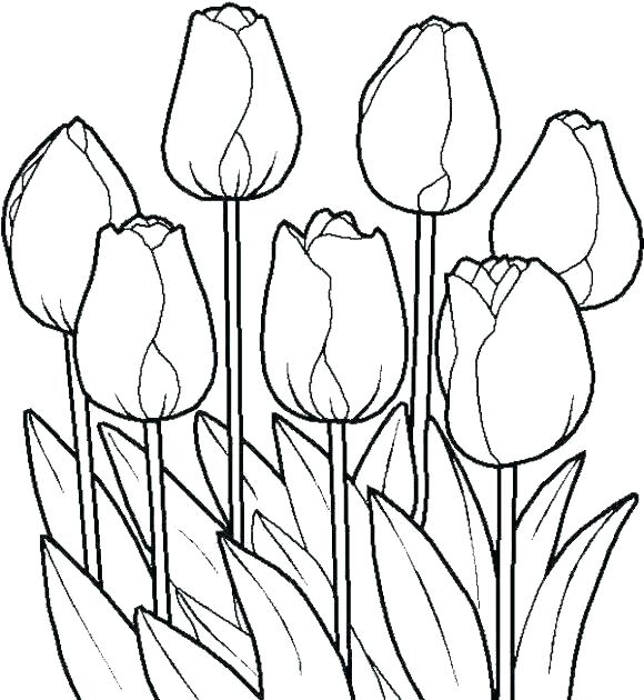 Spring Flowers Coloring Pages Icontent 580x630 Spring Flowers Coloring Pages Icontent