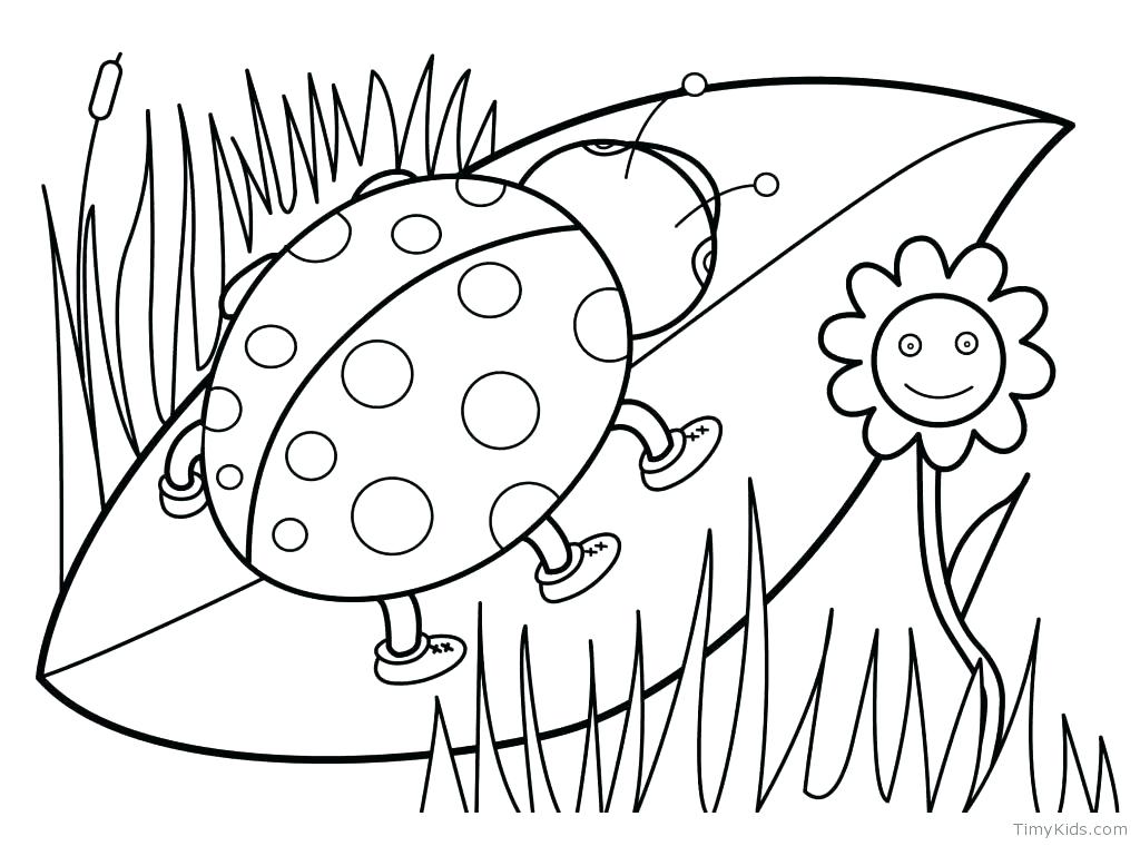 1024x760 Flower Coloring Pages For Adults Or Spring Coloring Images Free