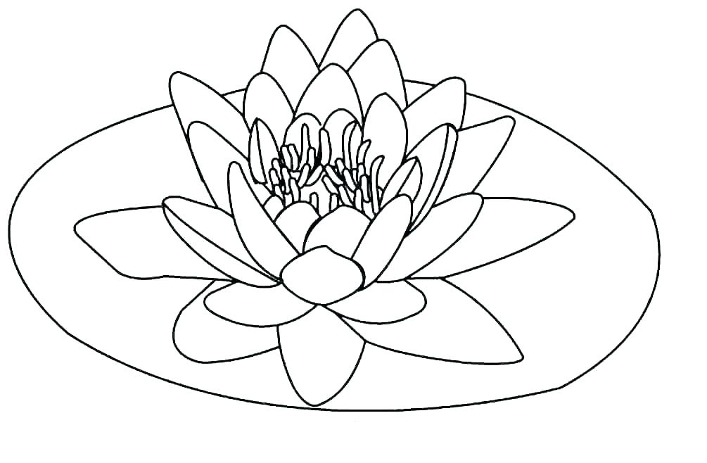 1005x658 Simple Flowers Coloring Pages Vanda